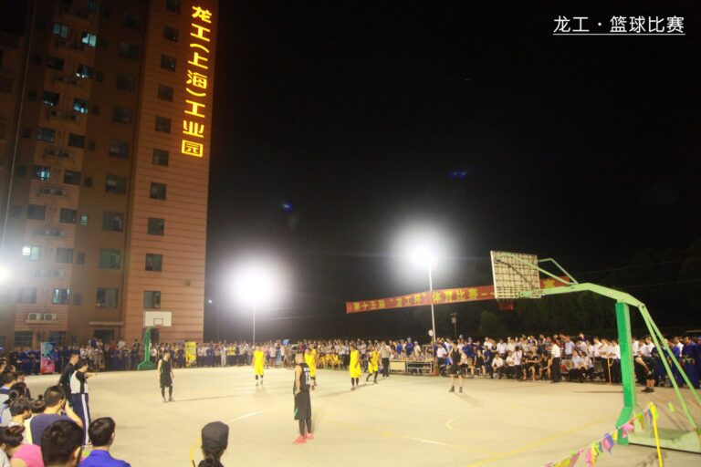 第十五届“龙工杯”体育比赛圆满落幕