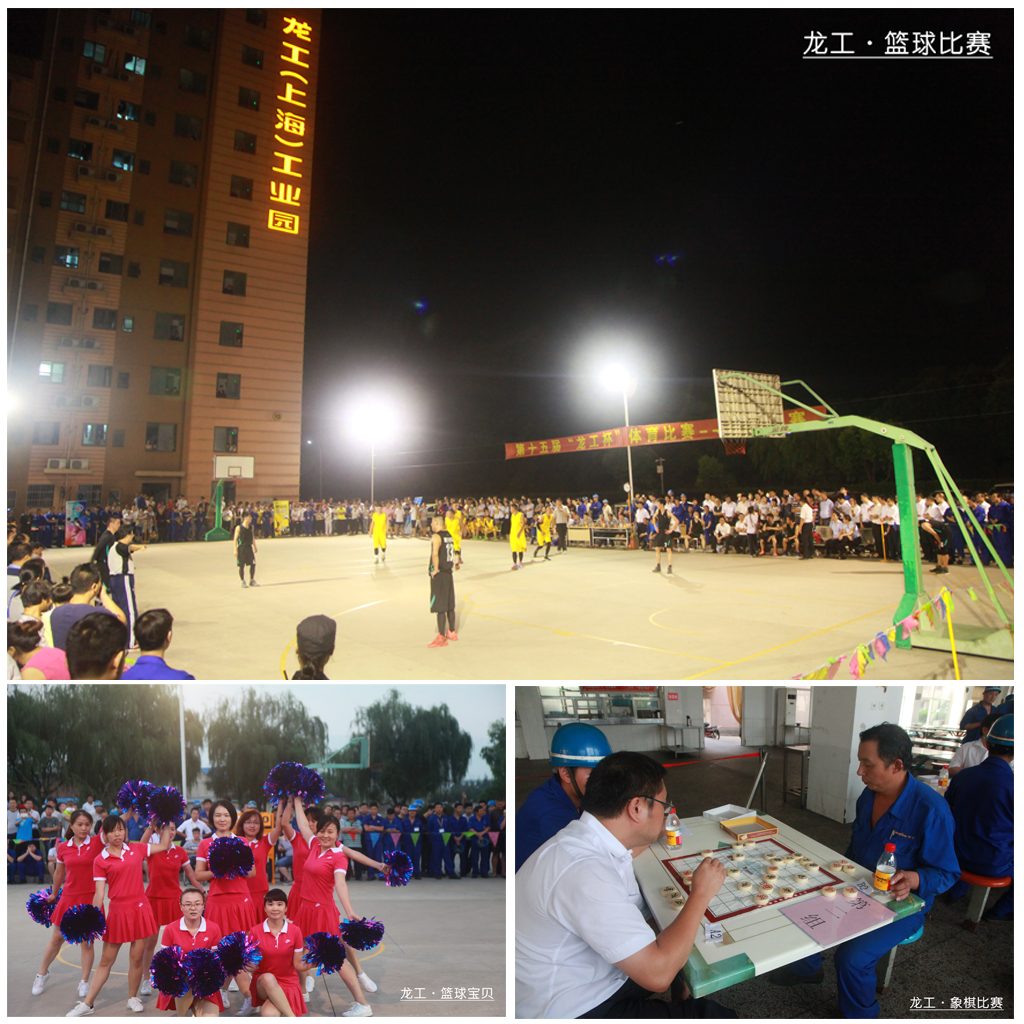 第十五届“龙工杯”体育比赛圆满落幕