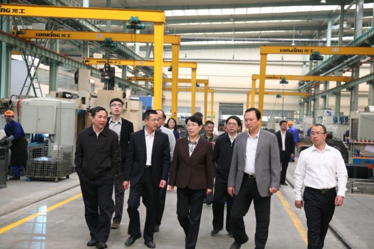 福建省副省长隋军一行视察龙工龙岩基地