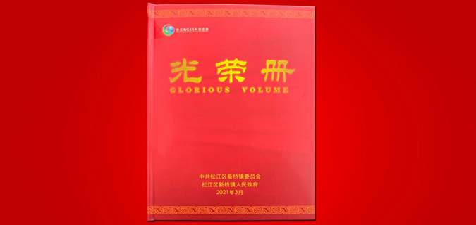 荣誉新闻 | 龙工荣获中共上海市松江区新桥镇委员会、新桥镇人民政府多项荣誉
